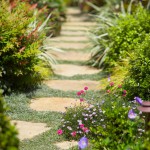 Stone Pathway of Grasses and Flowers