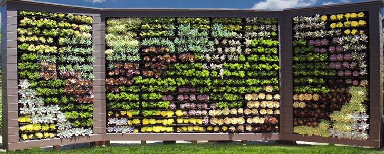 living_wall Living Wall